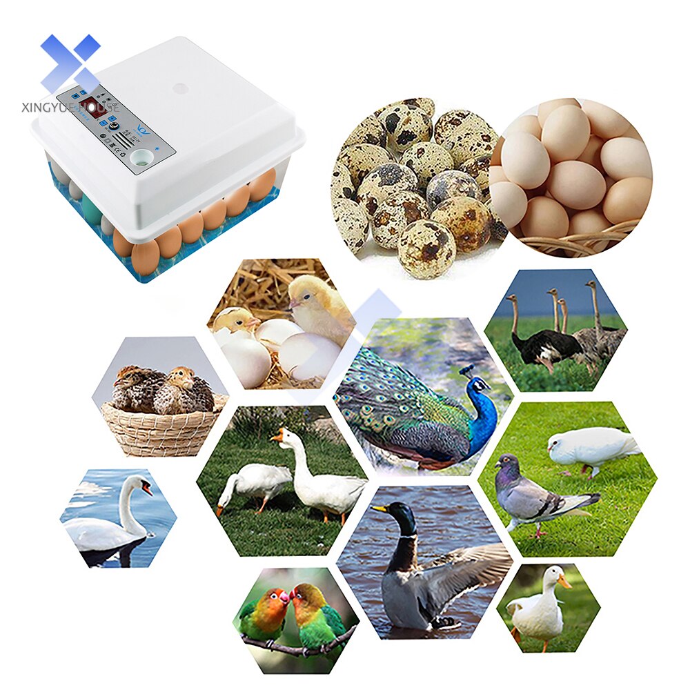 20 Eggs Incubator Automatic Temperature Control Incubator Tools Household Bionic Water Bed Farm Bird Egg Hatchery Incubator 220V