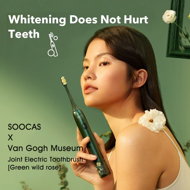 SOOCAS – têtes de brosse à dents électrique X3U-Van Gogh, têtes de rechange originales et authentiques, sous vide, vert