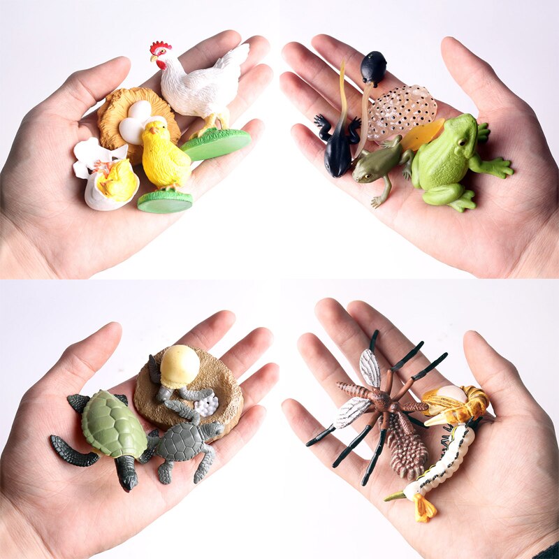 Simulation Insect Animal Model Figures Mini Butterfly Frog Mosquito Ocean Whale Animal Poultry PVC Figures Dolsl Toys