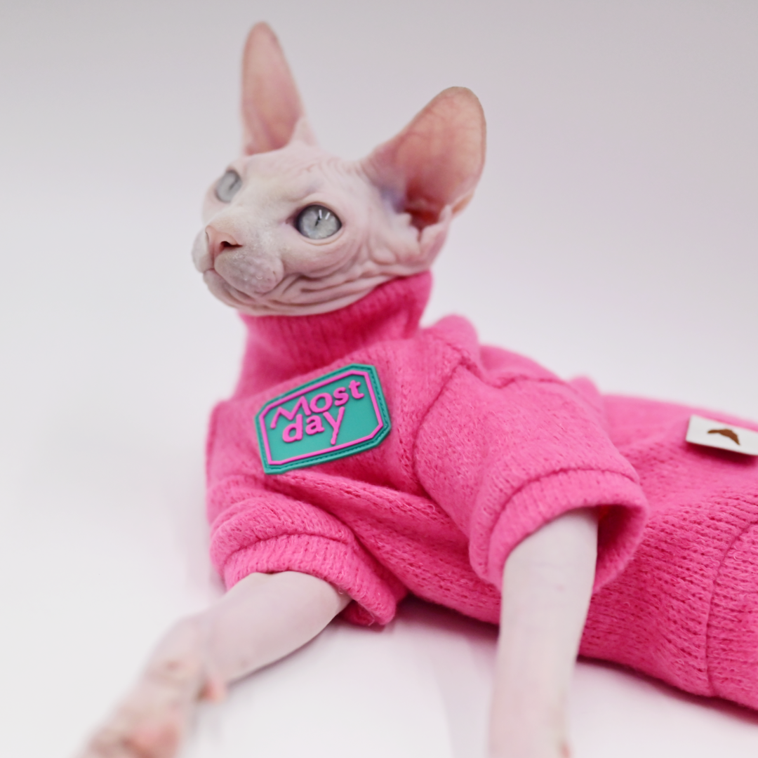 DUOMASUMI Devon Sweater Sphynx Cat Clothes Kitty Soft and Comfort Winter Hairless Cat Clothes