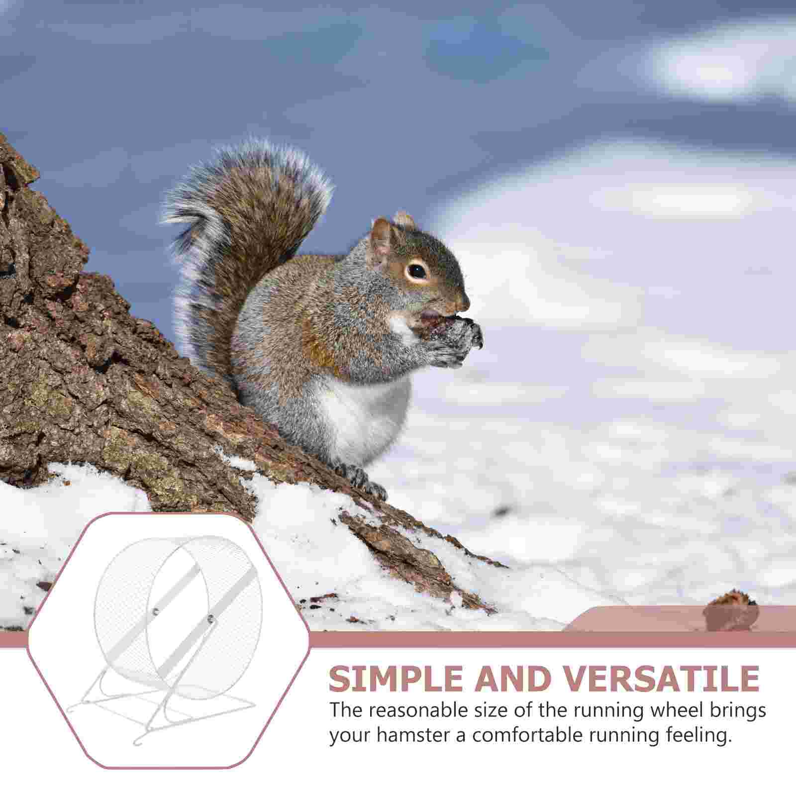 Squirrel Run Wheel Funny Hamster Exercise Wheel Hedgehog Running