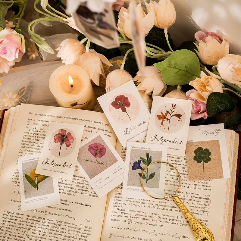 Retro Dried flower specimen PET Deco Stickers Plant Flower Leaf Transparent Bullet Journaling Accessories Aesthetic Stickers
