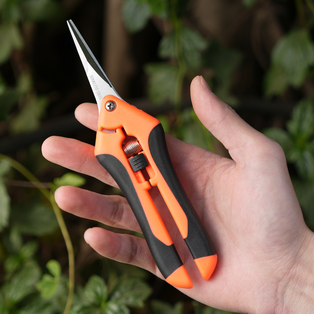 Mini Gardening Scissors for Pruning, Fruit Pruning, Pruning, Grape Picking, and Gardening Tools: PURPLE