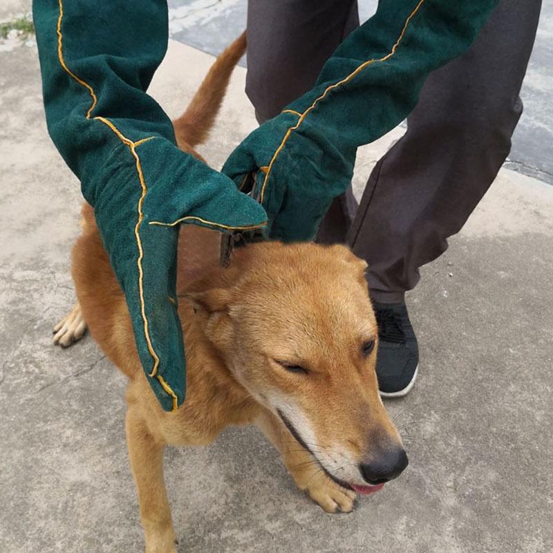 Anti-Bijt Veiligheidshandschoenen Bijenteelt Hond Kat Vogel Slang Baden Training Ultra Lange Verdikte Huisdier Grijpen Bijten Beschermende Handschoen