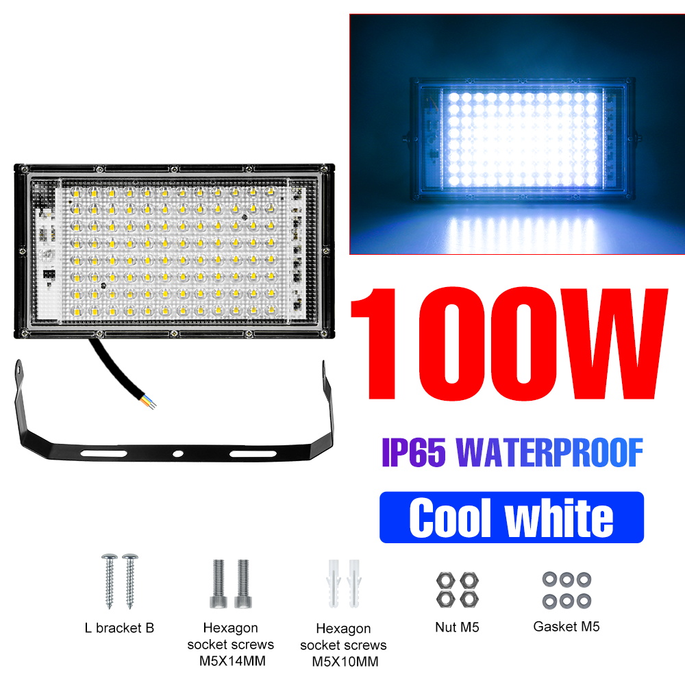 Reflector LED de 220V para exteriores, lámpara de pared de 100W, farola de inundación, iluminación de paisaje, impermeable, para jardín: Cool-White-100W