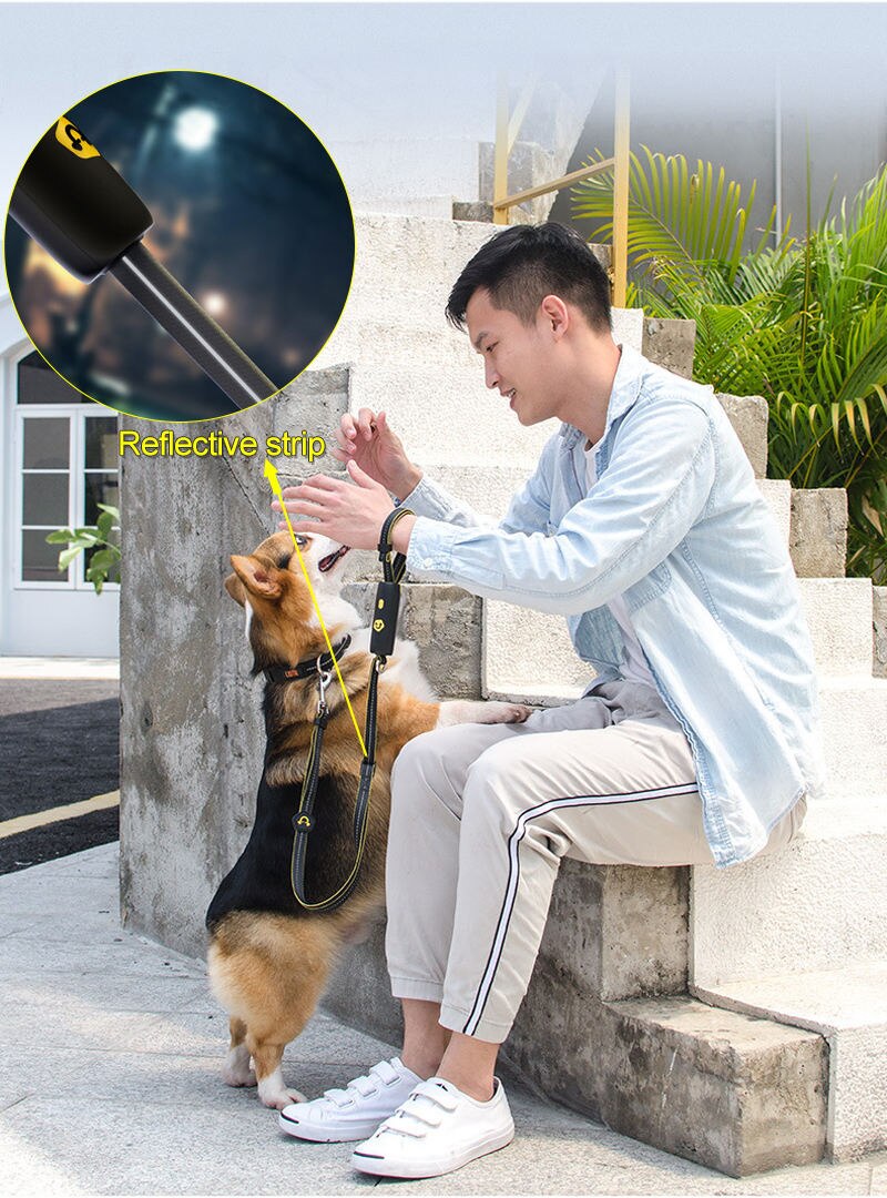 MEOWS Retractable Elastic Dog Leash Anti-Explosion Reflective Stripe Metal Clasp Comfortable Handle Easy Grip&amp;Lock Hands Free