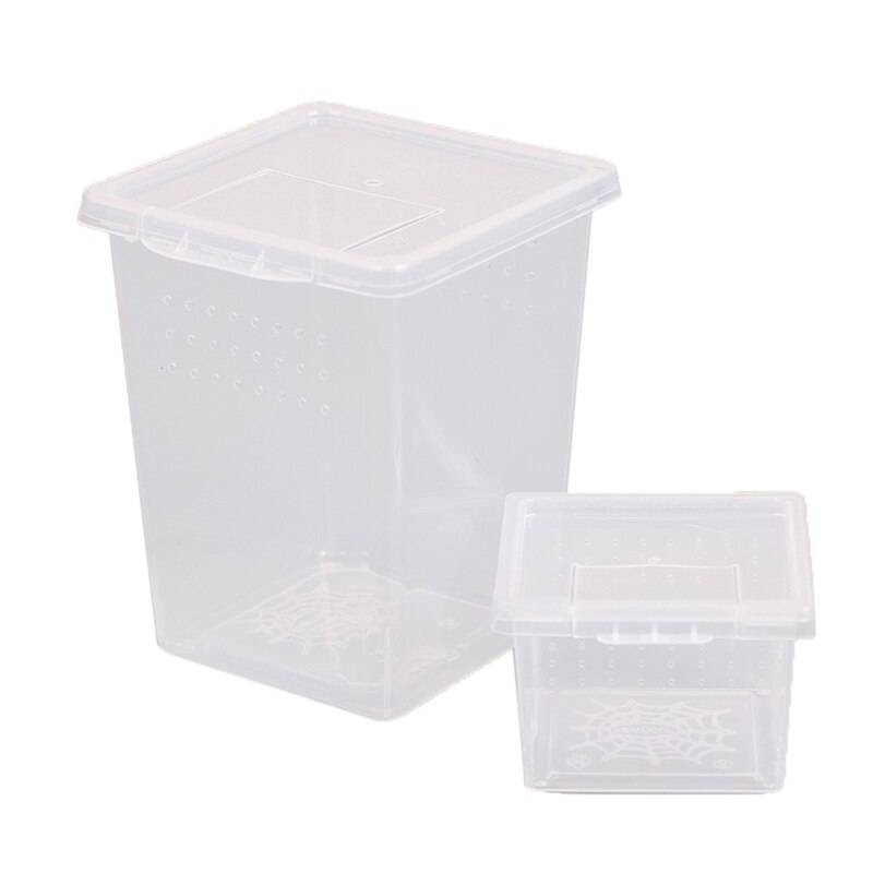 Plastic Insect Spider Habitat Feeding Box Case Container Tank Transport Case Hatching Tank !