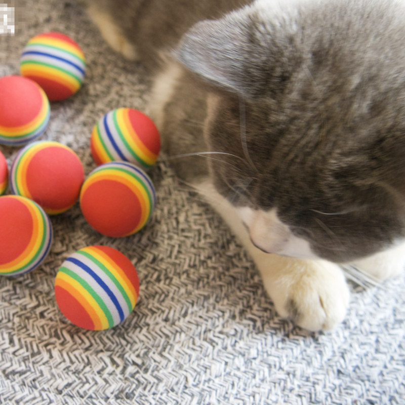 Kat Levert 3.5cm Kat Bal Speelgoed voor Puppy Kat Interactieve Spelen Chew Speelgoed Rammelaar Kras EVA Ball voor Pet kat Training