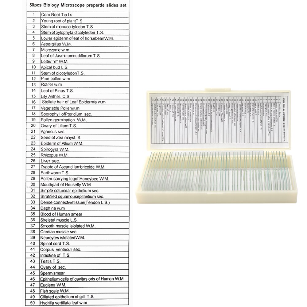 50 pièces/ensemble verre biologique échantillon préparé base animaux plantes insectes tissus Portable éducatif Microscope diapositives