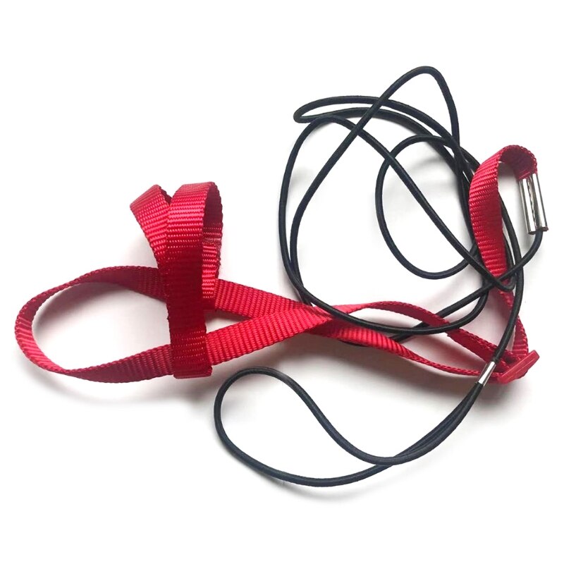 Correa de arnés para pájaros y loros, correas de tracción voladoras para exteriores, banda ajustable Anti-entrenamiento, cuerda de mordida: SCARLET / XS