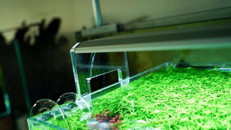 Chihiros Wrgb 2 Acryl Stand Voor Wrgb Ii Aquarium Led Licht