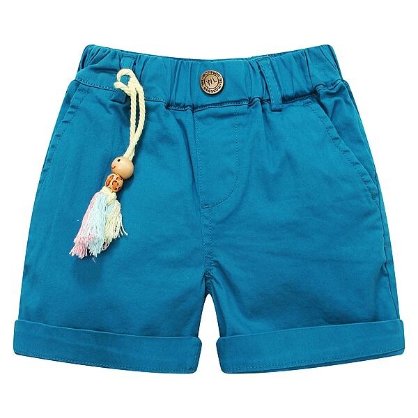 W.L.MONSOON Boys Beach Shorts Summer Brand Kids Cotton Shorts for Boys Clothes Children Short Enfant Garcon: blue / 6