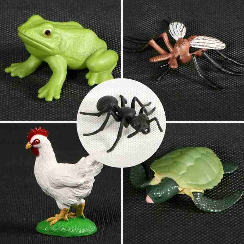 1 Set simulazione animali modello ciclo di vita giocattolo cognitivo rane/tartaruga/formica/zanzara/pollo modello ciclo di crescita giocattolo di educazione precoce