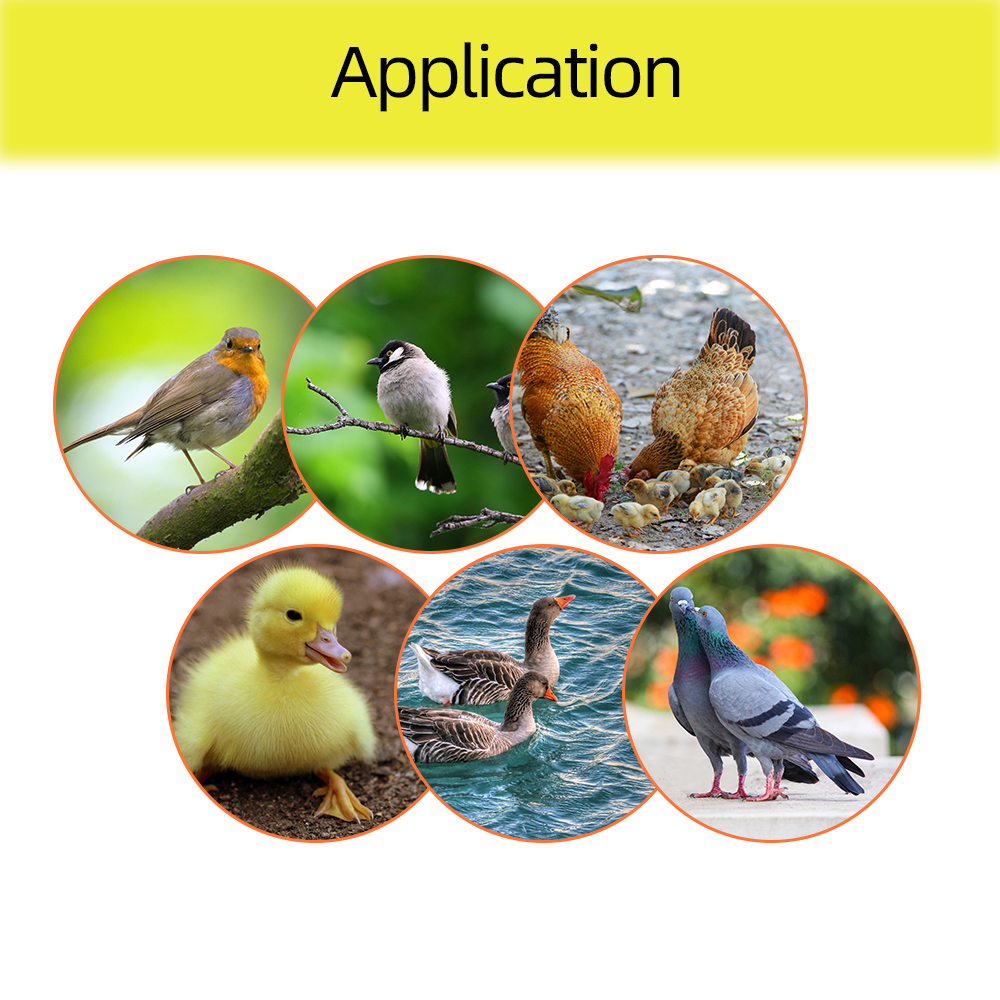 Incubadora automática de huevos de aves, máquina para incubar huevos de aves, pato y pollo, 154 V, bandejas con Motor de giro automático, 56 220