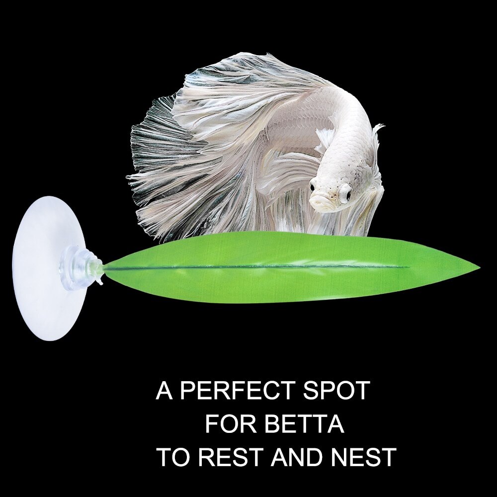 Aquariumdecoratie, aquariumdecoratie, betta visblad, aquariumlandschap, plastic zuignap, betta hangmat
