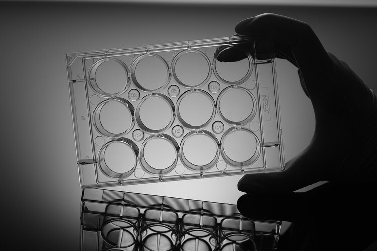 5 pcs, 12-hole disposable Petri Dish 12-well bacterial culture plate sterilization dish independent packaging