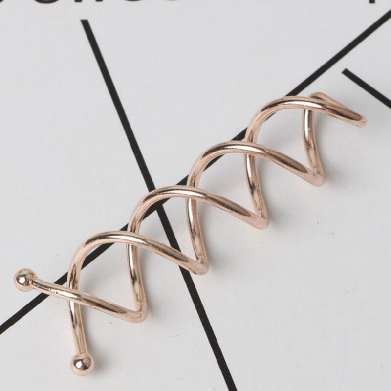 10pcs Spiral Twist Hair Pins Spin Screw Girls Hair Accessories Twist Hair Clips Hairpins Hair Pins Bun Maker Headwear Women: 3