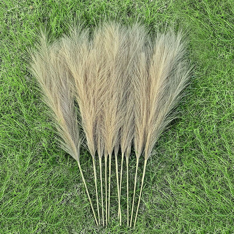 5pcs 70cm Artificial Plant Pampas Grass Polyester Silk Flowers Grass for Home Decor Wedding Decoration Table Centerpieces Plants: B04