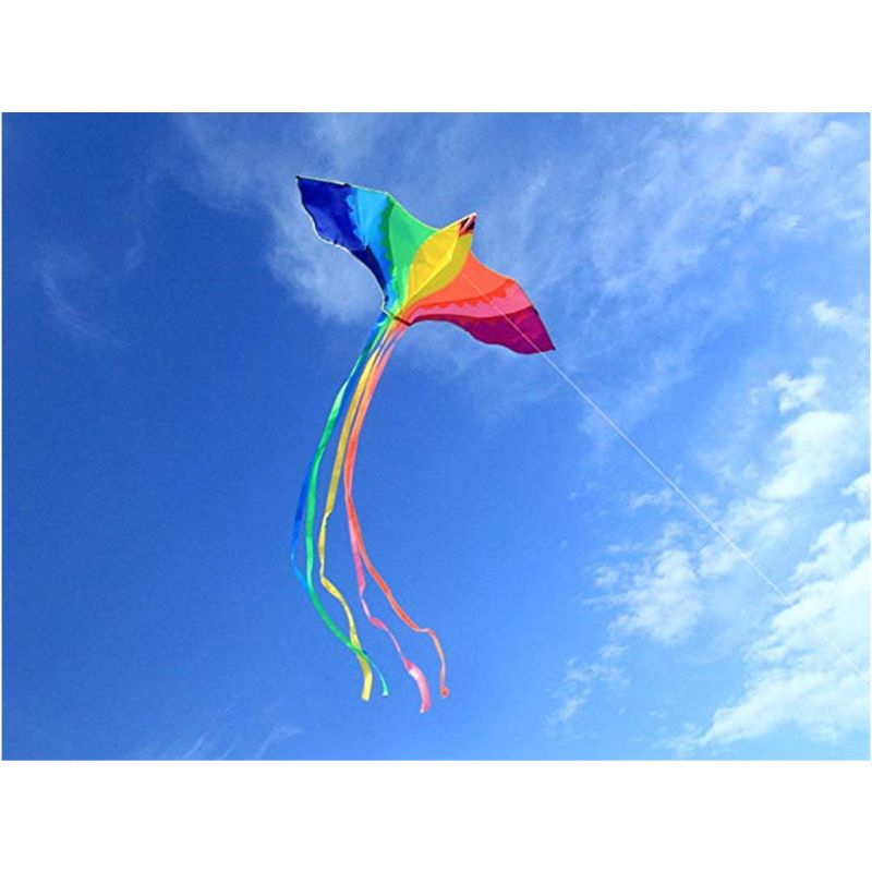 Phoenix Kite Met Lange Kleurrijke Staart Met Handvat Lijn Eenvoudige Bediening Familie-uitjes Outdoor Fun Sport Grote Vliegeren Voor volwassenen
