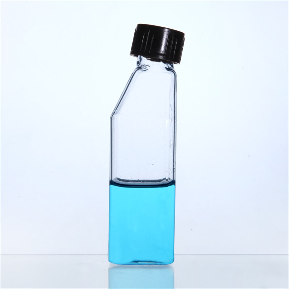 25-250 ml Zellkulturflasche Gekippt Mit Schraube Kappe Sonde Flasche Labor Glaswaren