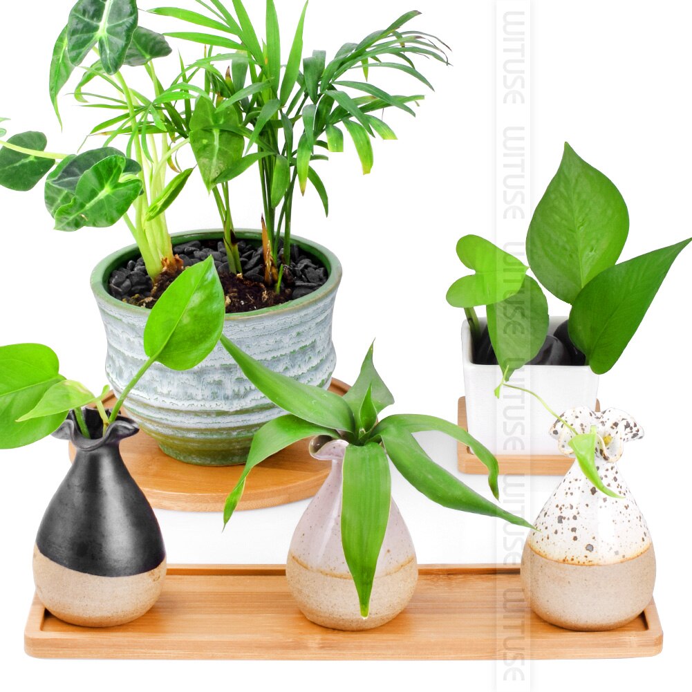 Wituse 12 stile blomsterkasser underkop keramisk sukkulent plantepotte potter bambus stativ desktop geometri glaseret vase bambus bakke
