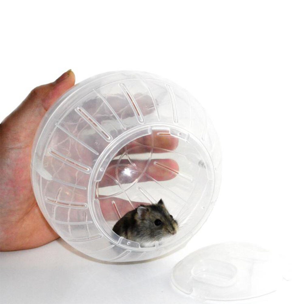 Boule de Jogging en plastique pour animaux de compagnie, jouet, Hamster, Rat Gerbil, boules d'exercice, jouets, 3 Styles, accessoires