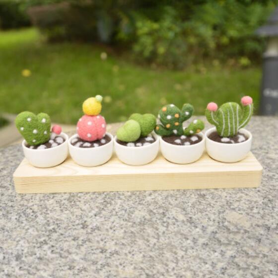 Cactus vlezige plant mini-pot wolvilt wollen borduurset wolvilt naaldvilten decoratie knutselen handwerk diy: A