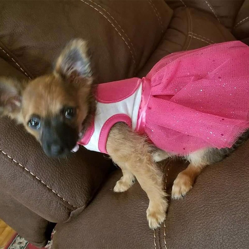 Zomer Jurken Voor Honden Hart Gedrukt Kant Kleding Chihuahua Teddy Jurken Voor Perritas Tutu Prinses Jurk Voor Puppy Pet Kleden