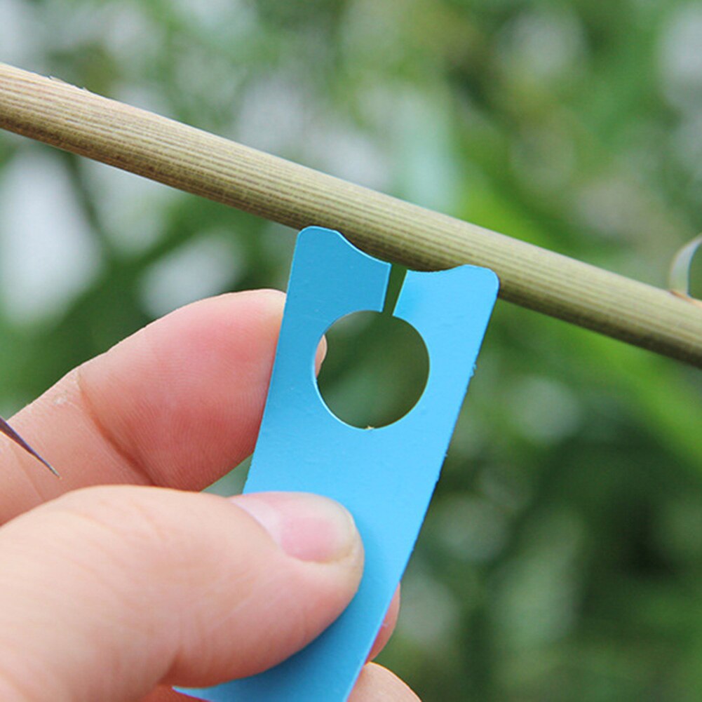 100 st plast växter taggar plantskola trädgård ring kruka markör påle hängande taggar växthus bonsai krage tags
