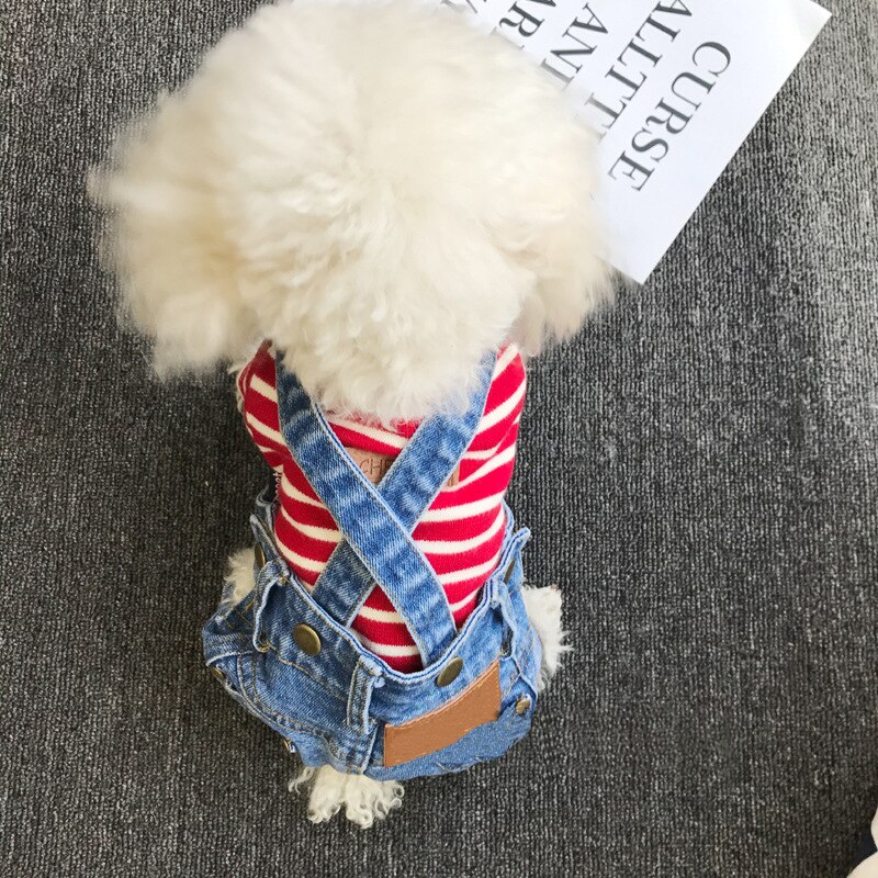 Denim jumpsuit för hundar små hundar husdjur kläder matchande jeans kostym för hund chihuahua mops sommar hund kostym jeans hund s-xxl