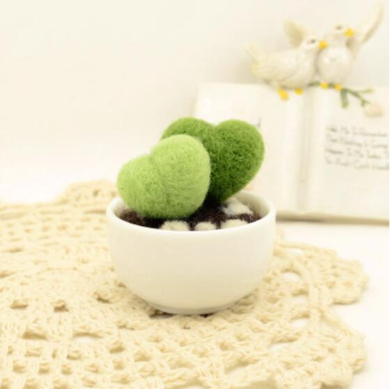 Cactus vlezige plant mini-pot wolvilt wollen borduurset wolvilt naaldvilten decoratie knutselen handwerk diy: D