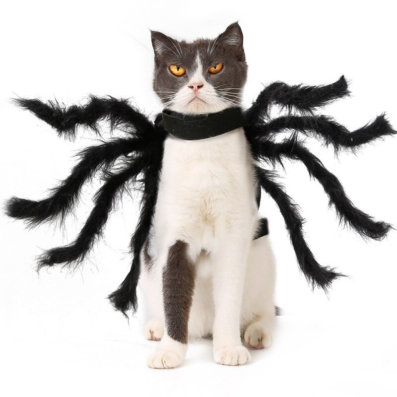 Halloween Spider Kleren Voor Hond Kat Spider Kostuums Dressing Up Pet Kleding Party Hond Halloween Kostuum Props