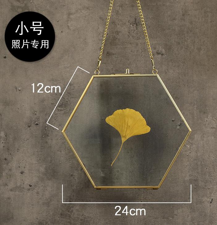 Hexagon Glass Photo Frame Copper Edge Simple Transparent Specimen Frame Photo Frame Metal Photo Wall: S
