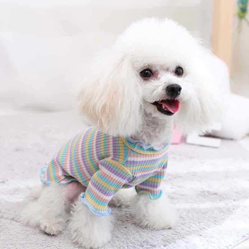 Hvalpetøj til katte skjorte hundetøj puddel kæledyr tøj hundetrøje hundetrøjer til små hunde pullover: Lysegrøn / L