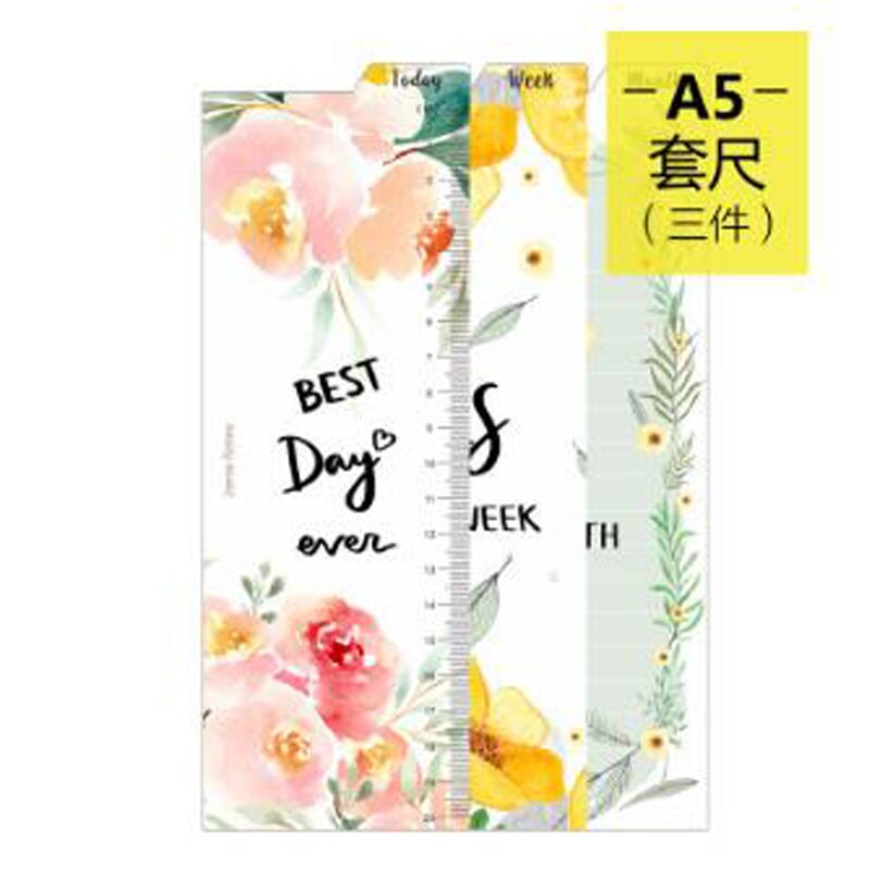 Yiwi semana mes hoy regla A5 A6 PP mate Frosted Planner Agenda Dokibook para 6 agujeros cuaderno con espiral y hojas sueltas organizador: A5 full set