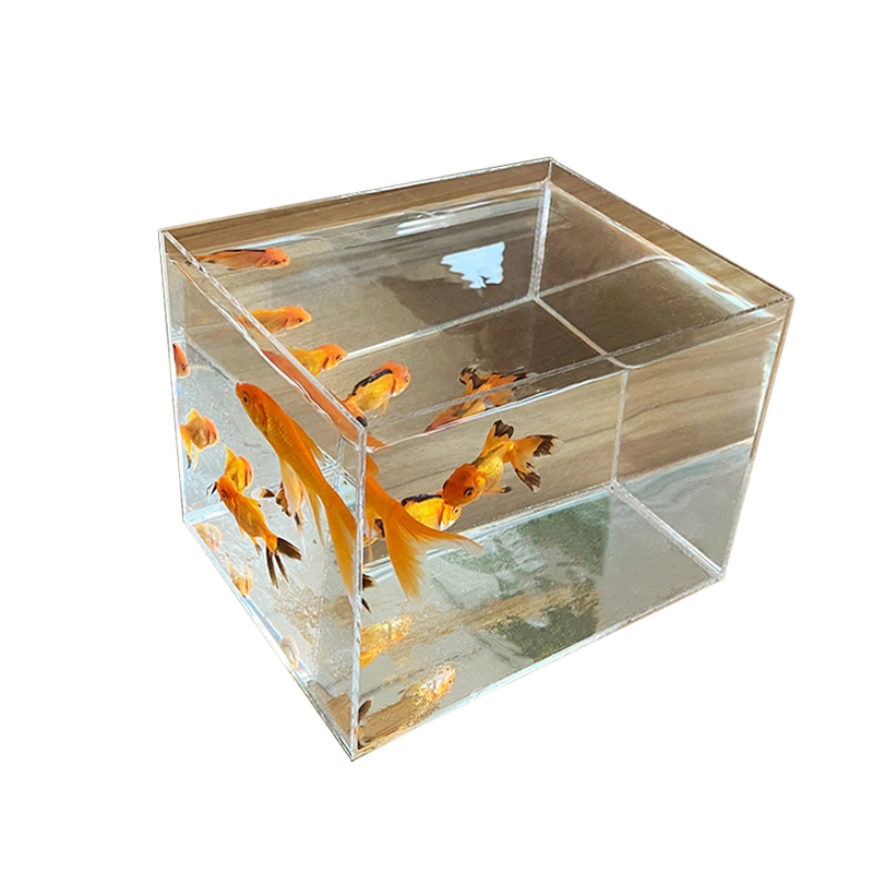 Présentoir en acrylique pour Aquarium de poissons Betta, présentoir multi-grille, , petit Aquarium, Isolation, tortue, paysage
