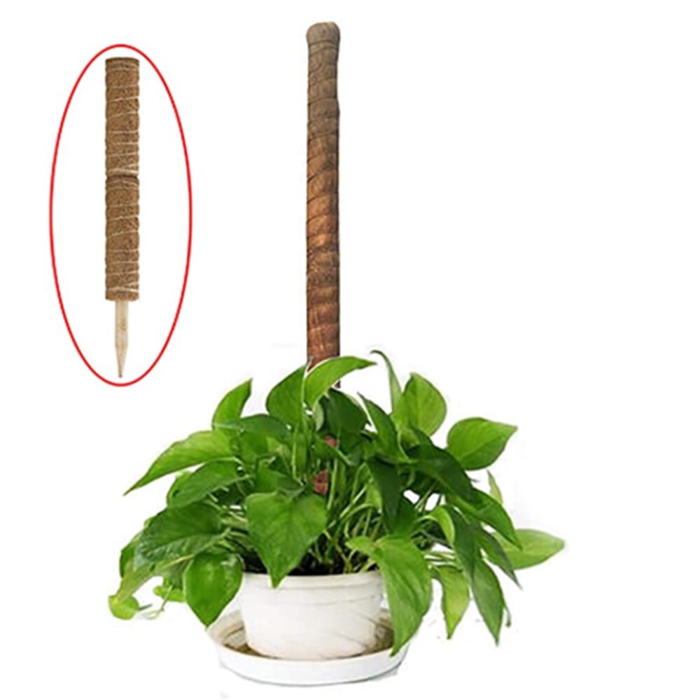 Coir Totem Pole Stretching Plant Climbing Poles,Climbing Vines Moss-Covered Plants Postscoconut Palms Help Support Plant Growth