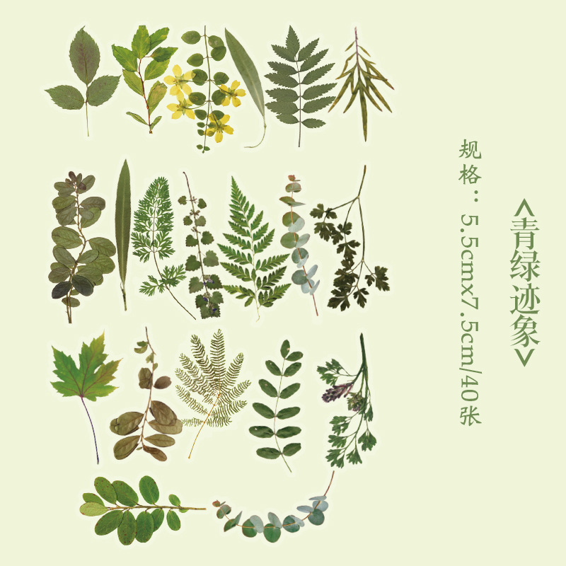 40 Uds. De pegatinas creativas Kawaii de plantas y flores, tienda de mano, etiquetas de palo DIY, Material para álbum de recortes, suministros para diario basura: Azul oscuro