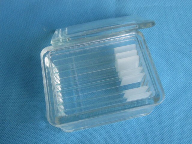 2pcs/lot Glass Staining Jar can hold 10 pieces glass slide Laboratory Consumables