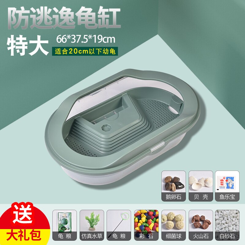 Cylindre d&#39;alimentation pour tortue, Pot domestique, petit et grand réservoir de poisson, boîte d&#39;alimentation pour tortue: Green-extra large
