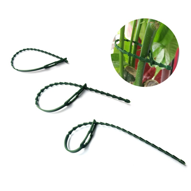100pcs Reusable Garden Cable Ties Nylon Adjustable Plastic Cable Ties Tools Plant Support Shrubs Locking plant accessories