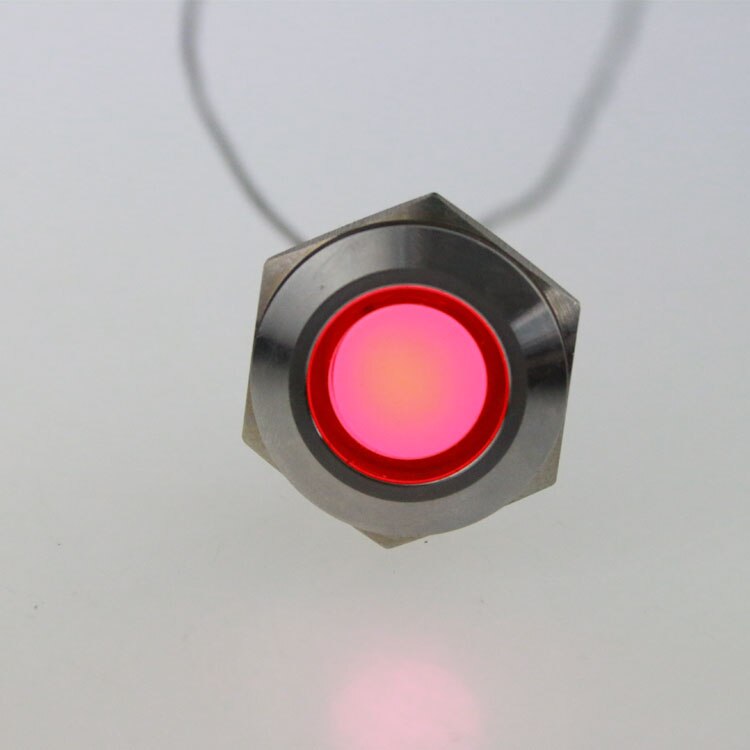 10 stk led metal indikatorlys 19 mm metal lys advarsel bil lys 3v 6v 12 v 24 v 36v 48v 220 vred grøn gul blå og hvid: 12v røde