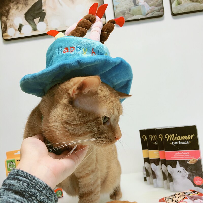 Grattis på födelsedagen husdjur katt hatt mössa för katt julfestival husdjur tillbehör söta hattar produkter för katt kattunge huvudbonader tillbehör