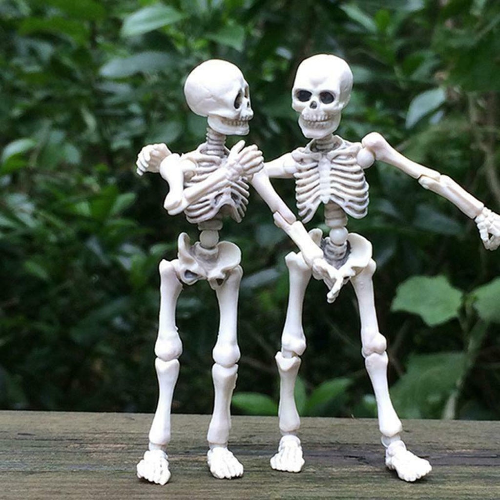 1PC Halloween Movable Skeleton Human Model Skull Full Body Mini Toy Skeleton Skull Halloween Ornament Horror Decoration Props: Default Title