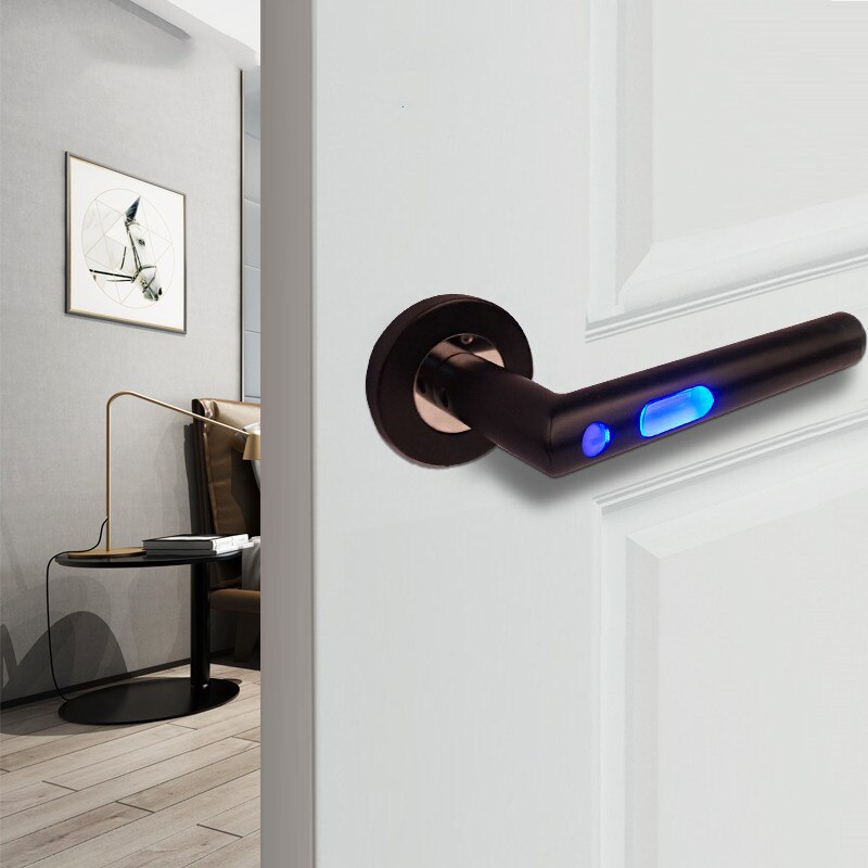 1PC One side Door Handles for Interior Doors Outside Black Door Handle Black Golden Silver Door Pulls Without Lock: With sensor light2