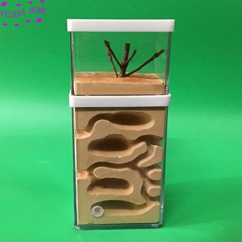 Easy Diy Ant Farm with feeding area Ants Castle Pet Cages insect house Workshop Insect Landscaping Housing workshop