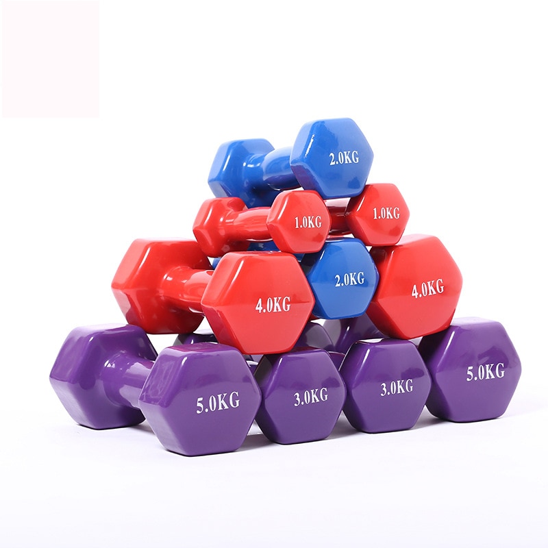 500g/Piece Dip Dumbbell Fitness Equipment Unisex Dumbbell Family Yoga Dumbbells Multi-Functional Fitness Dumbbells