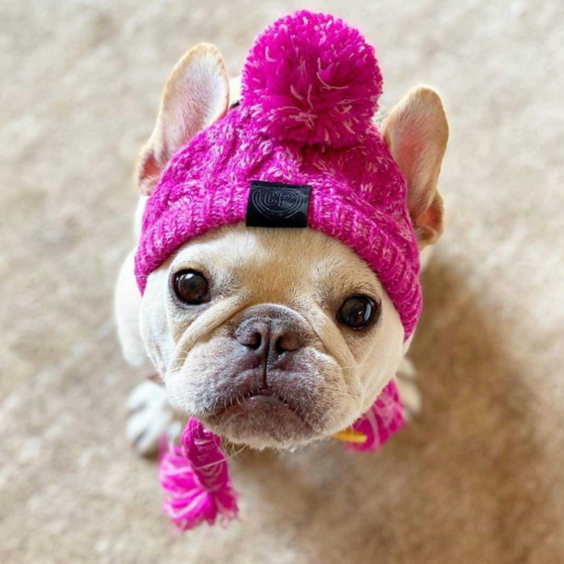 Gorras para perro Bulldog francés Pug, oso, gatito, cachorro, gorro de lana de punto, suministros para perro mascota, productos para invierno