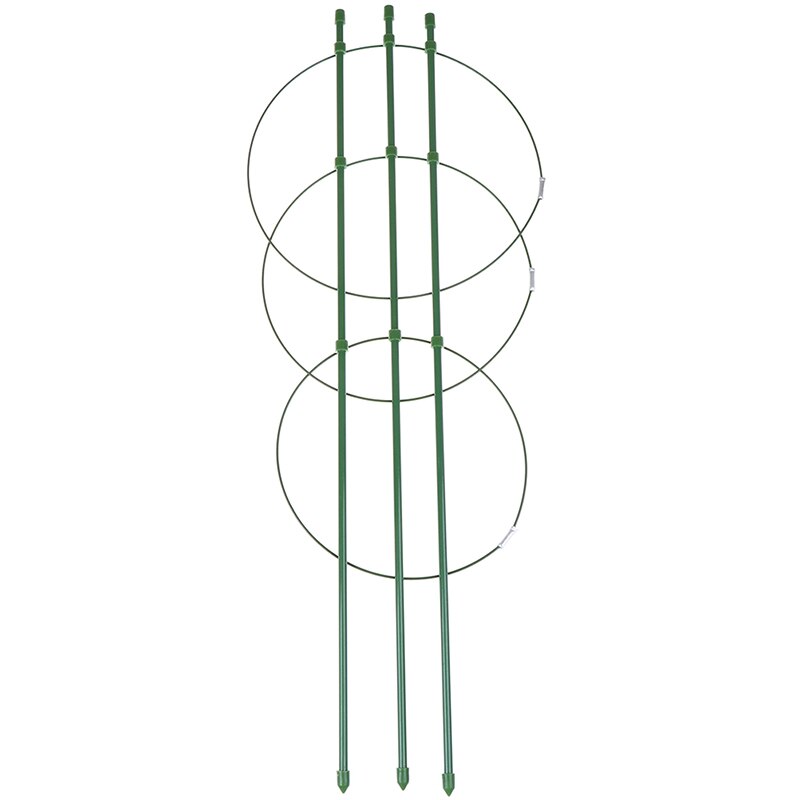Klätterstöd för Växter 60cm - Stål med Plastbeläggning - Stödram för Trädgård och Balkong