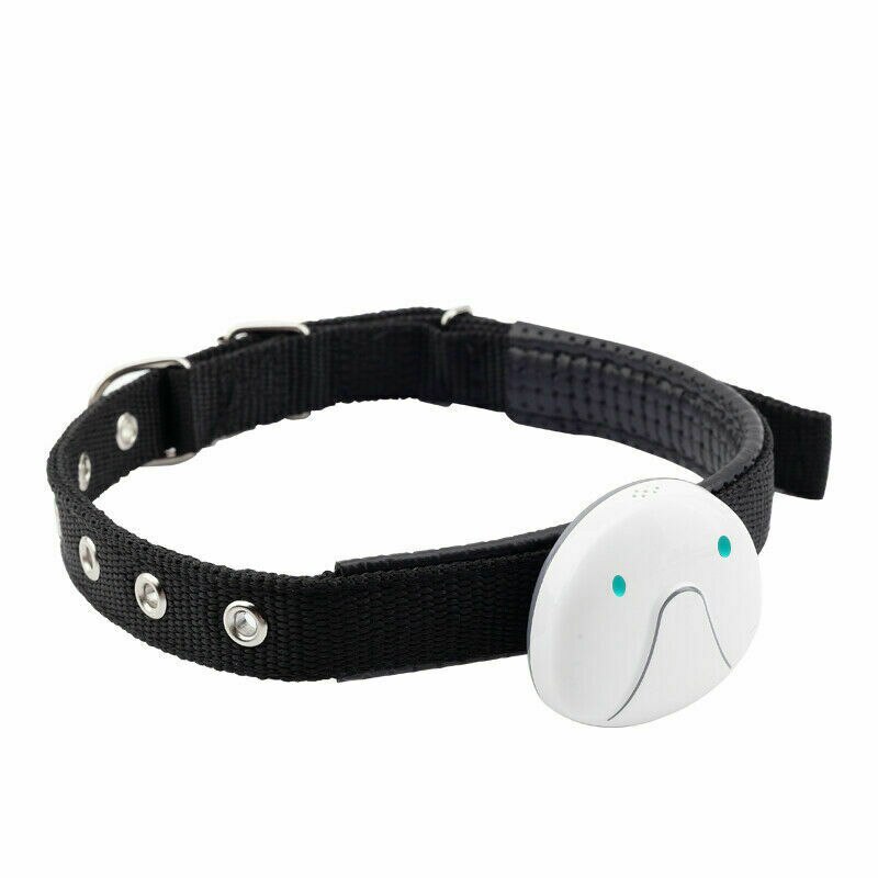 Smart husdjur gps gsm gprs halsband tracker övervakar hund katts husdjur lokaliserare vattentät: 2